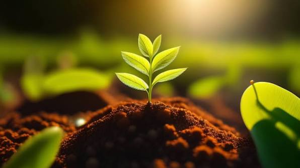 Sustainable Innovation